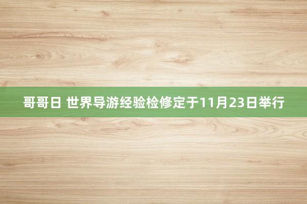 哥哥日 世界导游经验检修定于11月23日举行