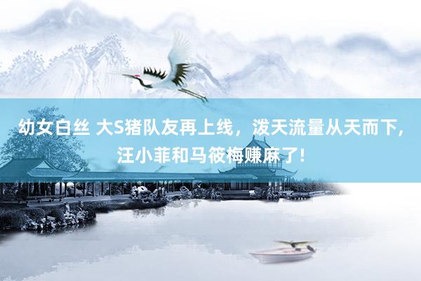 幼女白丝 大S猪队友再上线,泼天流量从天而下,汪小菲和马筱梅赚麻了!
