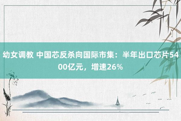 幼女调教 中国芯反杀向国际市集:半年出口芯片5400亿元,增速26%
