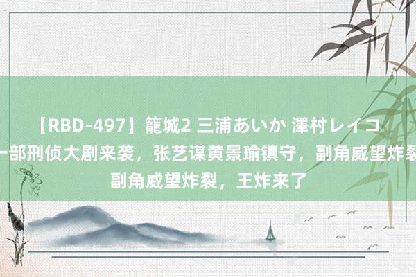 【RBD-497】籠城2 三浦あいか 澤村レイコ ASUKA 又一部刑侦大剧来袭,张艺谋黄景瑜镇守,副角威望炸裂,王炸来了