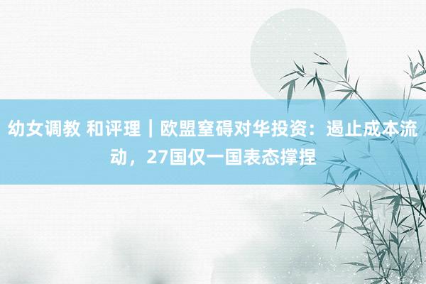 幼女调教 和评理|欧盟窒碍对华投资:遏止成本流动,27国仅一国表态撑捏