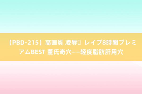 【PBD-215】高画質 凌辱・レイプ8時間プレミアムBEST 董氏奇穴——轻度脂肪肝用穴