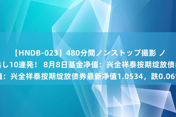 【HNDB-023】480分間ノンストップ撮影 ノーカット編集で本物中出し10連発! 8月8日基金净值:兴全祥泰按期绽放债券最新净值1.0534,跌0.06%