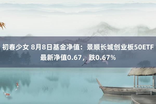 初春少女 8月8日基金净值:景顺长城创业板50ETF最新净值0.67,跌0.67%