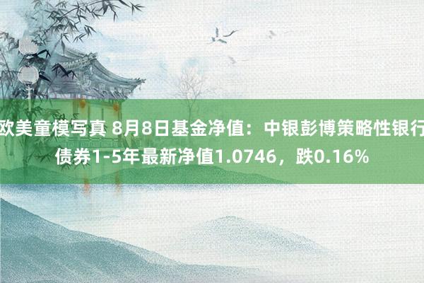 欧美童模写真 8月8日基金净值:中银彭博策略性银行债券1-5年最新净值1.0746,跌0.16%