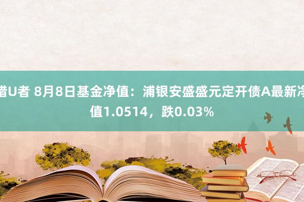 猎U者 8月8日基金净值:浦银安盛盛元定开债A最新净值1.0514,跌0.03%