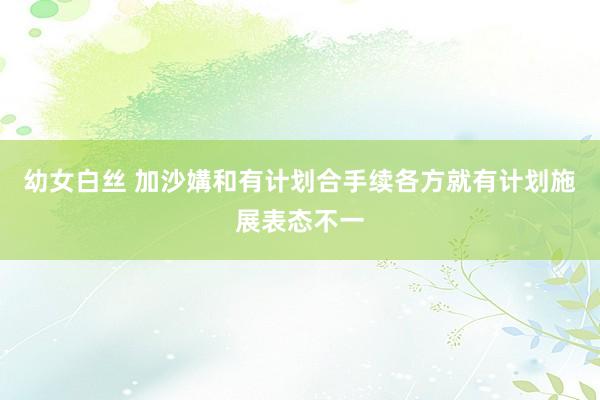 幼女白丝 加沙媾和有计划合手续 各方就有计划施展表态不一