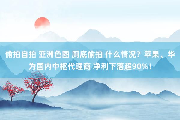 偷拍自拍 亚洲色图 厕底偷拍 什么情况?苹果、华为国内中枢代理商 净利下落超90%!