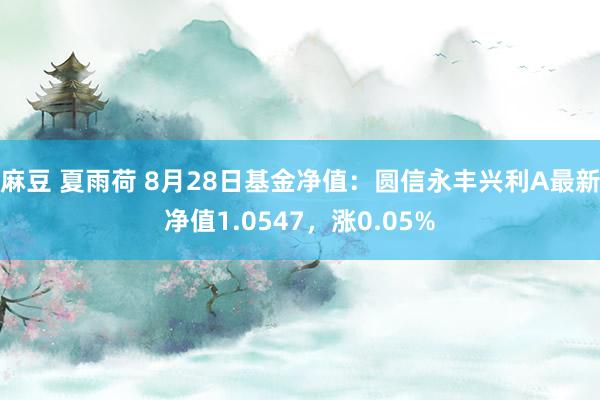 麻豆 夏雨荷 8月28日基金净值:圆信永丰兴利A最新净值1.0547,涨0.05%