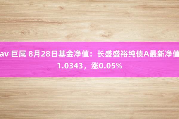 av 巨屌 8月28日基金净值:长盛盛裕纯债A最新净值1.0343,涨0.05%