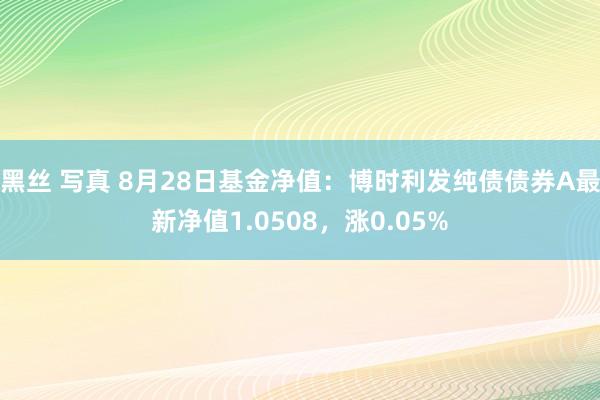 黑丝 写真 8月28日基金净值:博时利发纯债债券A最新净值1.0508,涨0.05%