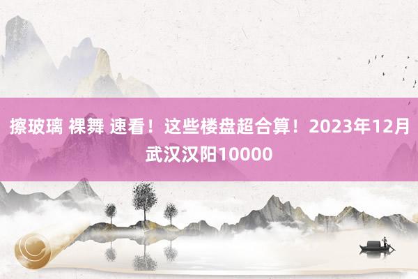 擦玻璃 裸舞 速看!这些楼盘超合算!2023年12月武汉汉阳10000