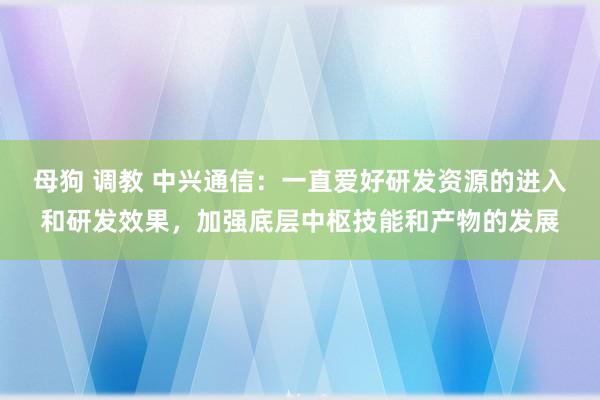 母狗 调教 中兴通信:一直爱好研发资源的进入和研发效果,加强底层中枢技能和产物的发展