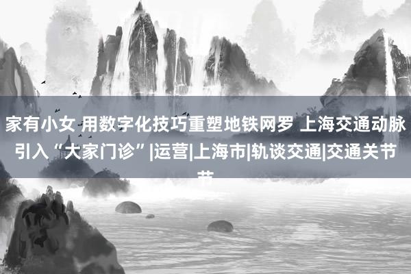 家有小女 用数字化技巧重塑地铁网罗 上海交通动脉引入“大家门诊”|运营|上海市|轨谈交通|交通关节