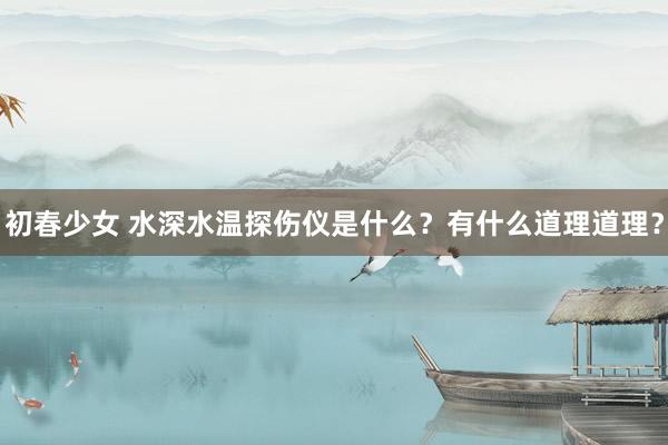 初春少女 水深水温探伤仪是什么？有什么道理道理？