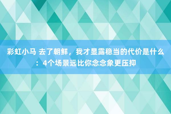 彩虹小马 去了朝鲜，我才显露稳当的代价是什么：4个场景远比你念念象更压抑