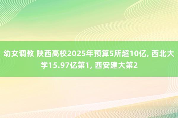 幼女调教 陕西高校2025年预算5所超10亿， 西北大学15.97亿第1， 西安建大第2