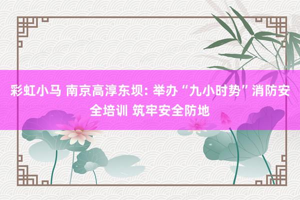 彩虹小马 南京高淳东坝: 举办“九小时势”消防安全培训 筑牢安全防地