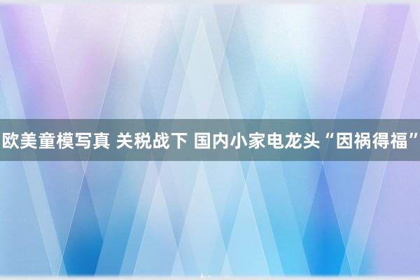 欧美童模写真 关税战下 国内小家电龙头“因祸得福”