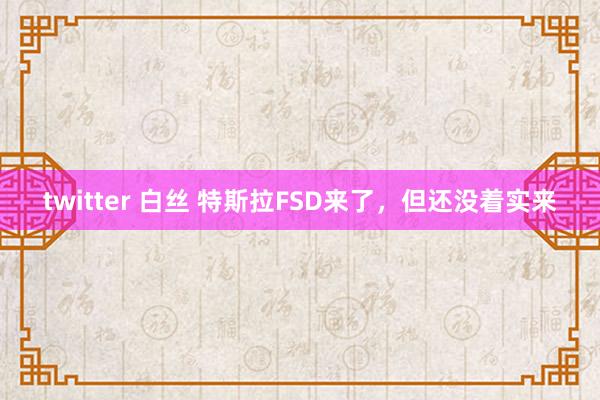 twitter 白丝 特斯拉FSD来了，但还没着实来